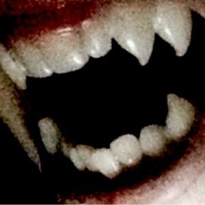 Meet your Posher, Meow